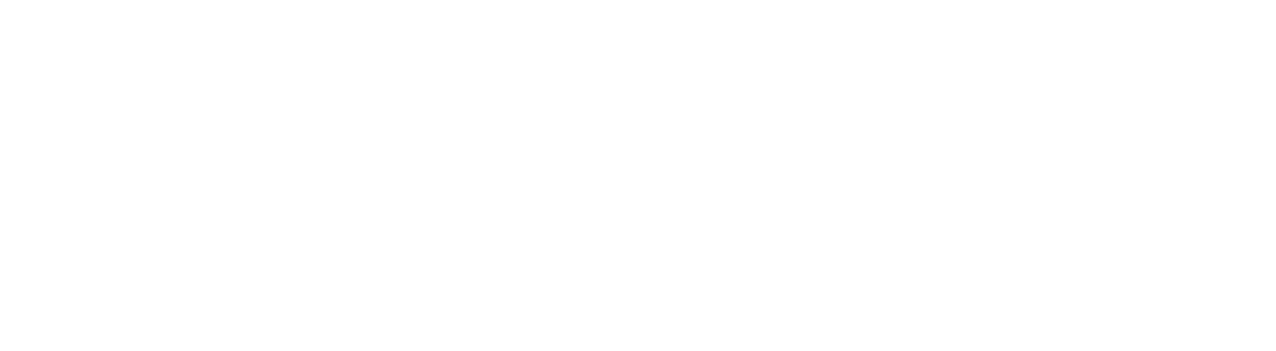 The Naturopathic Academy